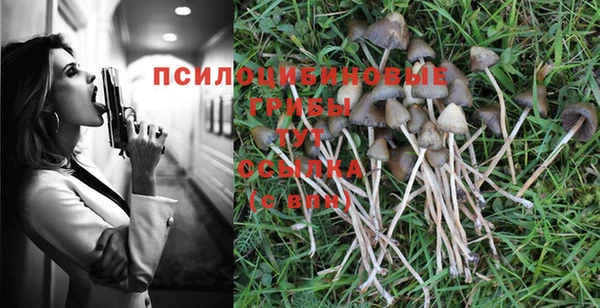 прущая мука Козельск